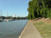 Brisbane Botanic Garden River Walk